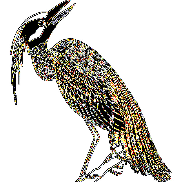 WIP10101-heron-brillant