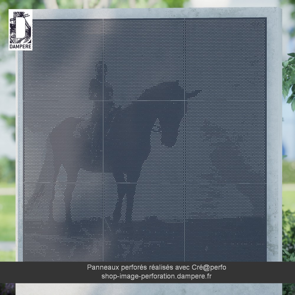 WIP10103-cheval-image-perforation_cam_2