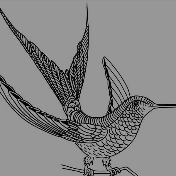WIP10109-dessin-oiseau