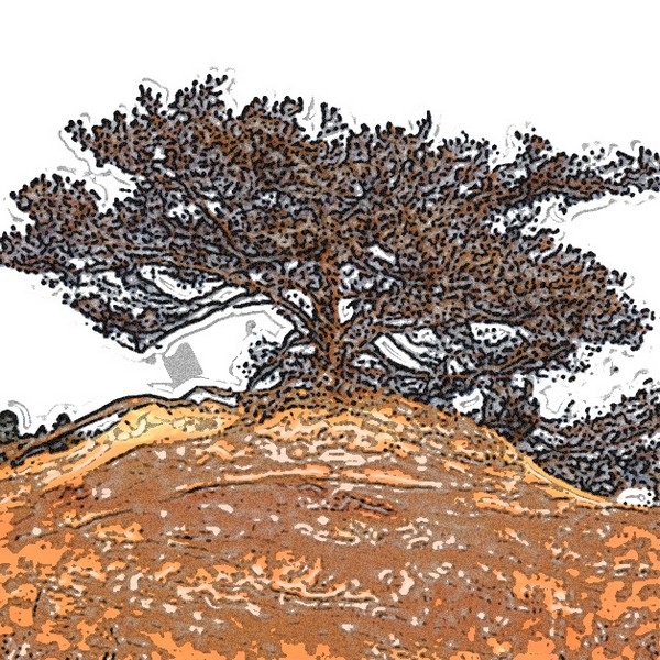 WIP10124-arbres-graphique