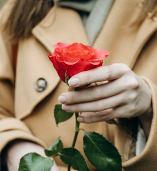 Exemple-image-femme-fleur-pour-tole-perforee-dampere